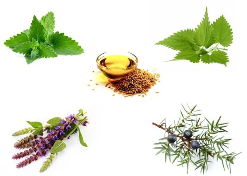 Menthe, ortie, thym, genévrier et huile de graines de lin